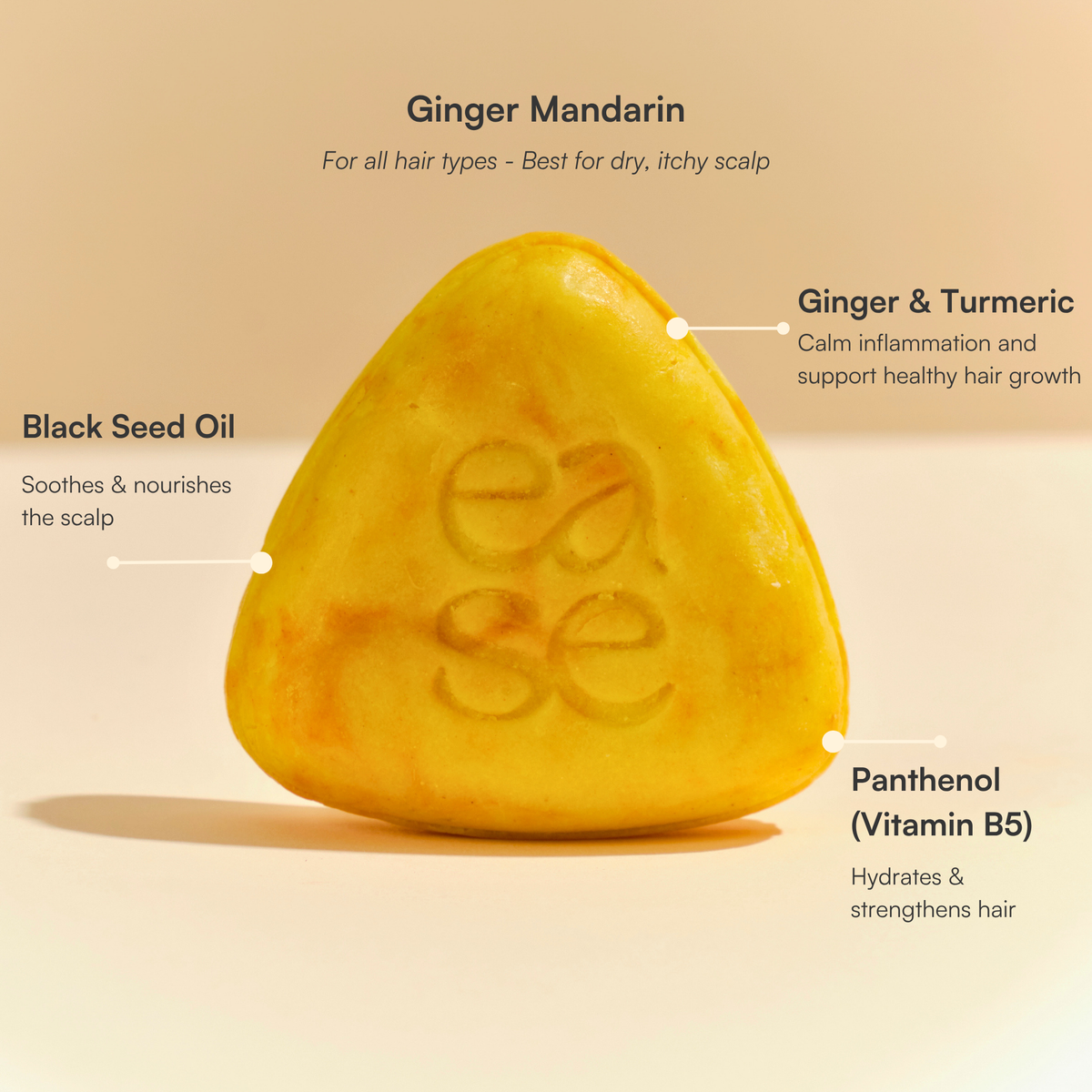 Natural Shampoo & Conditioner Bar Bundle