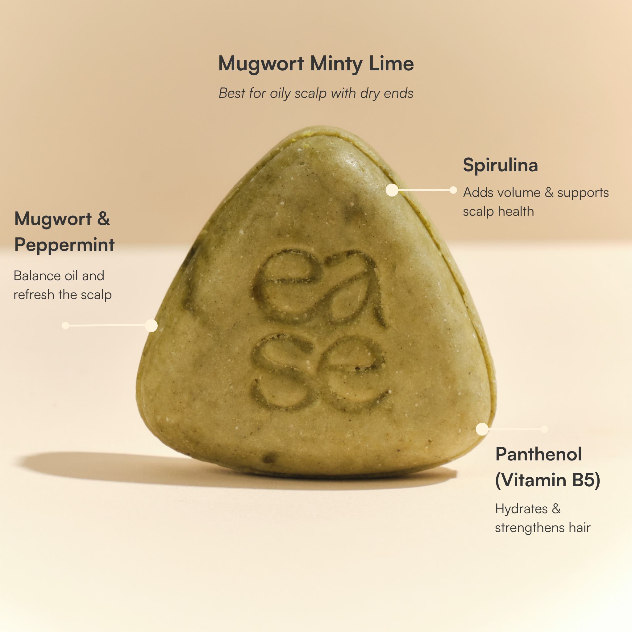 Mugwort Minty Lime Balancing Shampoo Bar